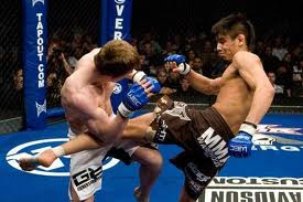 Miguel Torres vs. Chase Beebe