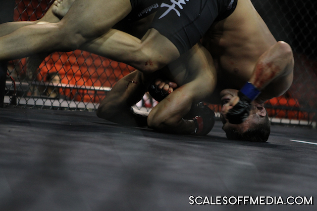 XFO 51
