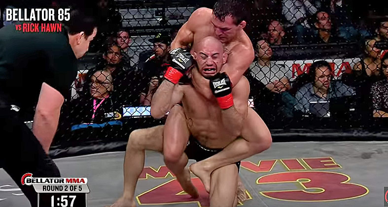 Michael Chandler Bellator Submissions and Knockouts